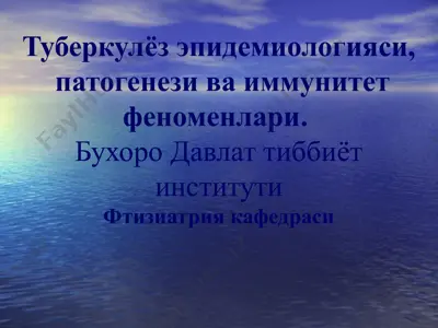 туберкулёз эпидемиологияси, патогенези ва иммунитет феноменлари — PPT