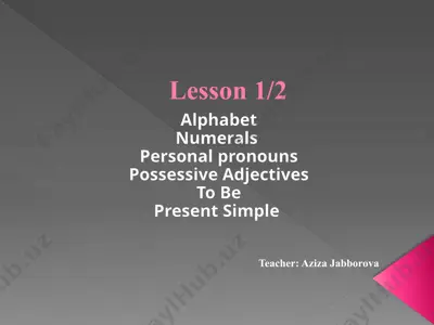 english language basics lesson 1/2 — PPTX
