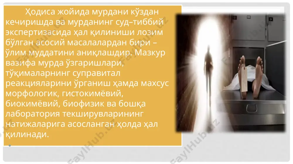 рига келиб жигарда гликоген, 12 соатдан сўнг тўқималарда ауф активлиги йўқолади. ўлимдан сўнг дастлабки 10 соатда спермада ҳаракатчан сперматозиодлар аниқланса, кейинроқ 24 соатгача бўлган даврда суст ҳаракатли сперматозиодлар кузатилади. ички аъзоларда аутолиз белгилари ўлимдан 12–18 соатдан кейин аниқлана бошлайди, 36–48 соатдан сўнг эса ўта яққол ривожланади. мурда очиқ жойда қолганида ўлимдан 6–8 кундан кейин унинг тагидаги ўсимликлар хлорофилнинг йўқотилиши сабабли оқаради. ўлим муддатини аниқлашда мурданинг энтомофаунасини (некробионтларни) текшириш аҳамиятга эга. бунда ҳашаротнинг тури ва унинг ривожланиш босқичи аниқланади. шу сабабли мурдада топилган ҳашаротлар тўпланиб, тегишли консервация (этил эфири ёки формалинда) қилинган ҳолатда суд–энтомологик текширувга йўлланиши лозим фойдаланилган адабиётлар: *суд_тиббиёти_искандаров_а_и_т_,_2009_г_.pdf image-11.jpg (720×540) (present5.com) ғиёсов з.а. суд тиббиёти. тиббиёт олий ўқув юртлари талабалари учун дарслик. - тошкент, global books нашриёти, 2018. — 356 бет. эътиборингиз учун рахмат!!! image2.jpeg image3.jpeg image4.jpeg image5.jpeg image6.jpeg image7.jpeg image8.jpeg