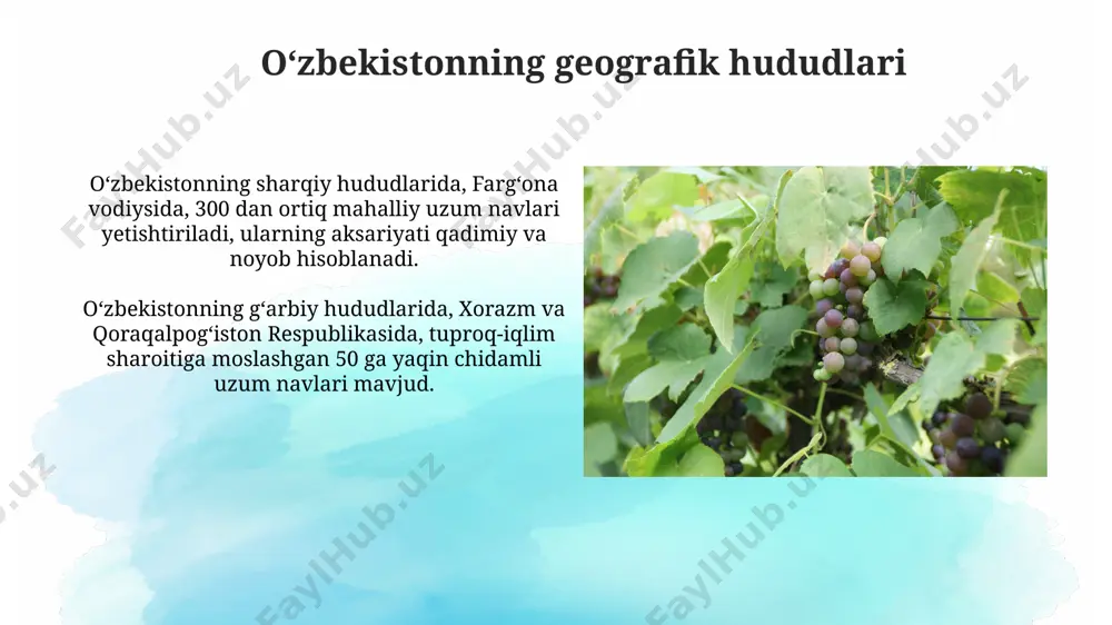 oʻzbekistonda rayonlashtirilgan uzum navlari - Page 5