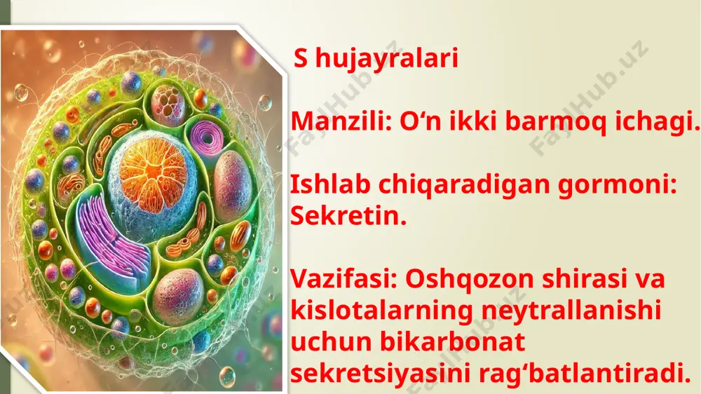 meda ichak nayining endokrin hujayralari - Page 5