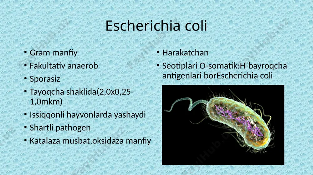 toksikoinfeksiya ichak tayoqchalari - Page 5