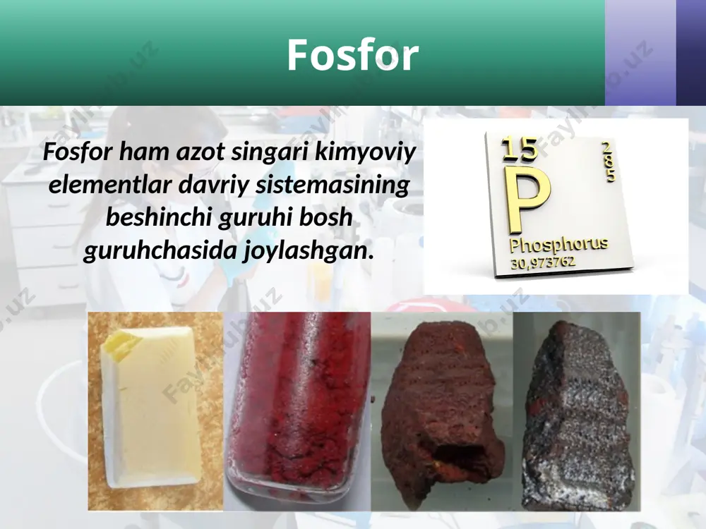 fosfor. 8 - sinf - Page 3