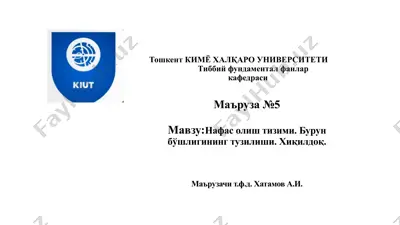 нафасолиш тизими — PPTX