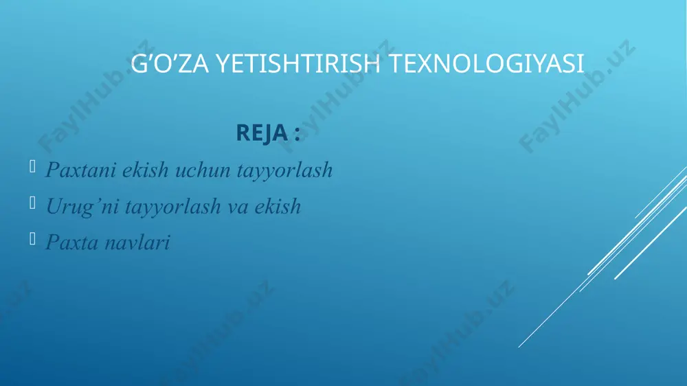 g o'simlik tushishi kerak. biroq, ko'plab fermerlar o'simliklar orasidagi masofa 90 sm bo'lgan keng qatorli ekinlarning iqtisodiy maqsadga muvofiqligini ta'kidlaydilar.o'rtacha urug'lik iste'moli gektariga taxminan 40-70 kg ni tashkil qiladi, bu ekish sxemasi va urug'lik hajmiga bog'liq. g‘o‘zaning vegetatsiya davrida yer yuzasidagi qobiqni yo‘q qilish, begona o‘tlardan tozalash, ekinlarni sug‘orish tadbirlarini amalga oshirish zarur. bundan tashqari, g'o'za novdalarida 1-2 haqiqiy barg paydo bo'lganda, uyalarni yupqalash amalga oshirilishi kerak. biroq, zamonaviy nozik seyalkalar ishlatilsa, o'simliklarni qo'lda sindirish zarurati butunlay yo'q qilinadi. ko‘chatlar paydo bo‘lgandan keyin qator oraliqlarida 10 sm chuqurlikda kultivatsiya o‘tkazish kerak.bundan tashqari, boshlang‘ich vegetatsiya davrida g‘o‘za qatorlarini berkitguncha yana bir necha kultivatsiya o‘tkaziladi. yovvoyi o'tlar gerbitsidlar yoki mulchalash orqali nazorat qilinadi. ikkinchisi, aytmoqchi, paxta dalalarini parvarish qilish uchun mehnat xarajatlarini sezilarli darajada kamaytirishi mumkin. hosildorlikni oshirishning samarali usuli bu o'simliklarni o'z vaqtida ta'qib qilish, ya'ni o'sish shoxlari va asosiy poyaning tepalarini kesib tashlashdir. bu tartib hosildorlikni gektariga o‘rtacha 10 sentnerga …
