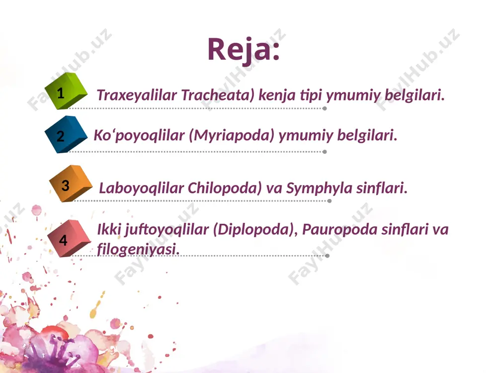 stigmalar bilan tashqariga ochilgan. faqat nam tuproq va chirindilar orasida yashaydigan – sodda tuzilgan qadimgi avlodlarida traxeya sistemasi rivojlanmagan (ular terisi orqali nafas oladi). quruqda yashovchi hayvonlar sifatida bular tanasida ma’lum miqdorda suv zapasining saqlanishi hayotiy ahamiyatga ega. binobarin traxeyalilarning bir qancha sodda tuzilgan avlodlarida maxsus ayirish organi bo‘lmay, bu vazifani orqa ichak devori bajaradi. yuqori traxeyalilarning ichak devori bilan tutashgan ipsimon ayirish organi - malpigiy naychalari esa “suvni tejab ” siydikni kislota holida chiqaradi. tanada suvni tejash va hosil qilishda yog‘ tanachalari ham katta rol o‘ynaydi. nerv sistemasi - markaziy qism bosh miya, halqum osti nerv tuguni va qorin nerv zanjiri shaklida tuzilgan. ko‘pchilik avlodlarida murakkab ko‘z, teri, sezuv va hid sezuv organlari juda yaxshi rivojlangan. biroq bularda qon aylanish sistemasi birmuncha soddalashgan. orqa tomonida joylashgan naychasimon yurak va u bilan tutashgan qon tomirlari – qon aylanish sistemasidir. traxeyalilarning hammasi ayrim jinsli - hamma turlari otalanib ko‘payadi. eng ko‘p …
