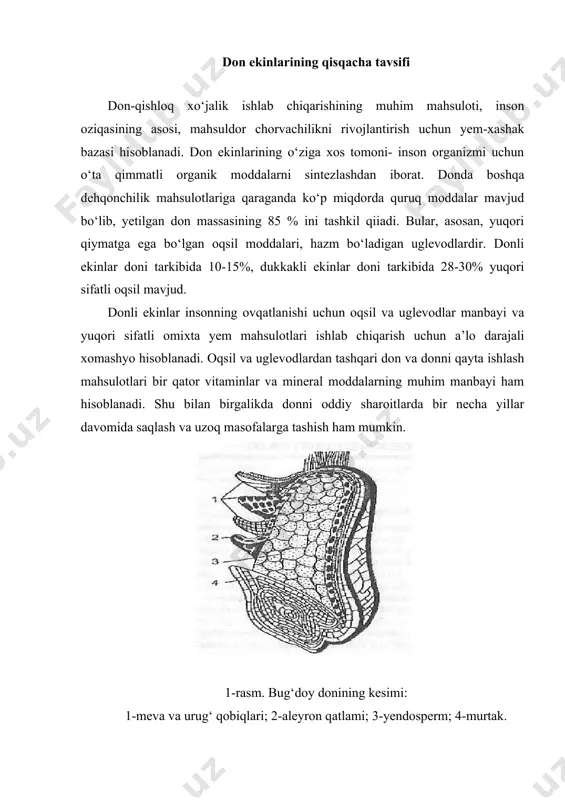 bug‘doy donining oqsil, uglevod va ferment kompleksi xossalari ham yuqori darajali ahamiyatga ega. bug‘doyda gliadin va glutenin deb nomlanuvchi oqsillar mavjud. bu oqsillar suvda bo‘kib, o‘z massasiga nisbatan 200-300% ko‘p suvni yutadi va kleykovina deb ataluvchi bog‘langan elastik massani hosil qiladi. kleykovinaning qayishqoq-yelastik xossalari bug‘doy unidan yuqori sifatli non va makaron mahsulotlari tayyorlash imkonini beradi. 2-rasm. bug‘doy doni. a-yumshoq; b-qattiq yumshoq bug‘doyning navlari turli shaffoflik va novvoylik xossala-riga ega bo‘ladi. bu belgilariga ko‘ra bug‘doy doni kuchli, o‘rtacha kuchli va kuchsiz navlarga bo‘linadi. kuchli bug‘doy navlarining shaffofligi, odatda, 60% dan yuqori, ho‘l kleykovinasining miqdori esa 28% dan kam bo‘lmaydi. kuchsiz navlarda oqsilning miqdori 9-12%, ho‘l kleykovinasining miqdori esa 20% dan ko‘p emas. ularning shaffofligi 40% gacha bo‘lishi mumkin. kuchsiz bug‘doy navlarining kleykovinasi noyelastik, haddan ortiq cho‘ziluvchanlikka ega. bug‘doyning kuchli navlari un tortishda kuchsiz navlarni yaxshilash uchun ishlatiladi. o‘rtacha kuchli bug‘doy navlari (shaffofligi 40-60%) texnologik xossalariga ko‘ra yaxshilovchilar qo‘shmasdan novvoylik unlari tortish …