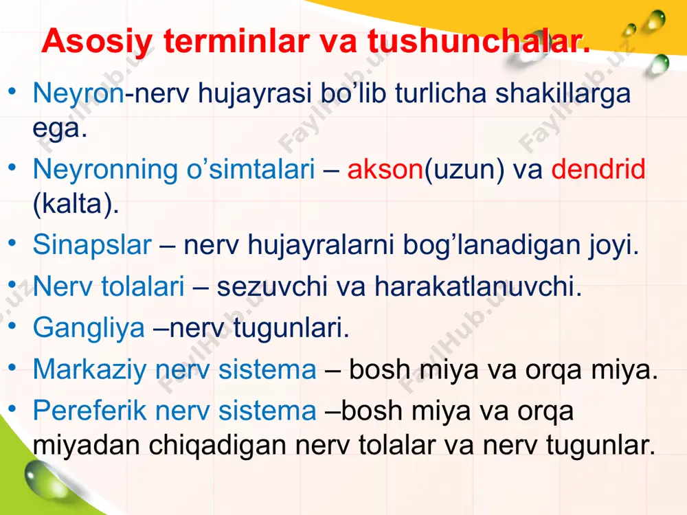 an tezroq charchay nerv tolasi charchaganda biotoklarning kuchi o'zgaradi. qo'zg'alish impulsining tarqalishi 2-3 marta susayadidi. nerv tolasidan ta’sir o'tishi uchun u fiziologik normal holatda bo'lishi shart. * nerv sistema fiziologiyasi. nerv tolasi qattiq sovitilsa yoki o'tkir zaharlansa, nerv impulsini o'tkazmaydi. aralash nervlar tarkibidagi harakatlantiruvchi sezuvchi nervlar esa impulsni bo'lib-bo'lib o'tkazadi. impulslarni bu xilda ajralgan holda o'tkazilishi nervning miyelin qavat bilan qoplanishiga sabab bo'ladi. nerv tolasi qirqilganda nerv hujayrasi tanasi tomondan o'sa boshlaydi. nerv tolasining qayta tiklanishi bilan impuls o'tishi ham qayta tiklanadi. * синапс (продолжение) sinaps (grek.qopliman —o’rash,qoplash) — ikki neyron orasidagi tutashadigan joyiga aytiladi. bu terminni 1897 yiliingliz fiziologi charliz sherrington fanga kiritgan. bir nerv tolasidan ikkinchisiga impulslarni o’tkazadi. bir hujayrada bir nechta sinapslar bo’lishi mumkin. nerv tolalarining miyelinlashuvi. avval periferik nervlar, so'ngra orqa miya nervlari, keyinroq bosh miya sopining nerv tolalari, undan so'ng bosh miya katta yarim sharlarining tolalari miyelinlashadi. miyelin qavati rivojlangan sari nerv tolasining qo'zg'aluvchanligi orta …