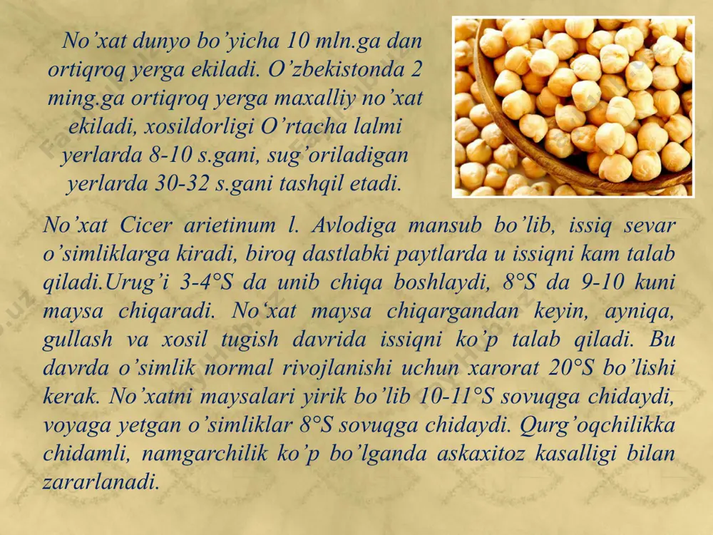 dukkakli ekinlar - Page 5
