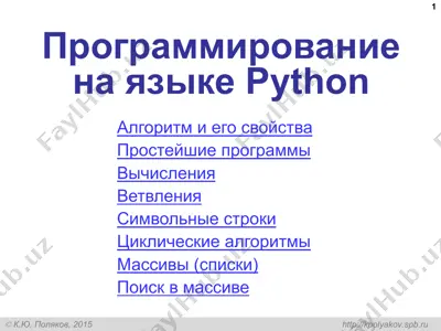программирование на языке python — PPT