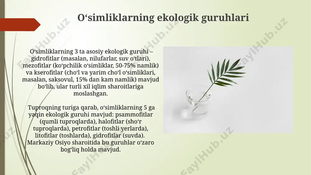 niqlashda geografik koordinatalar muhim rol oʻynaydi. oʻsimliklarning floristik hududlari oʻsimliklarning floristik hududlari 25 ga yaqin yirik floristik viloyatlarga boʻlinadi, ularning har biri oʻziga xos taksonlar toʻplami va endemik turlari bilan ajralib turadi, masalan, madagaskar orollari oʻziga xos floristik boyliklarga ega. paleotropik floristik mintaqasi 30 000 dan ortiq oʻsimlik turi bilan, shu jumladan, tropik afrika va osiyoning katta qismini oʻz ichiga oladi, bu hududda noyob orkide turlarining koʻpligi kuzatiladi. oʻsimliklarning vertikal zonalari and togʻlarining 2000-4000 metr balandliklarida, kserofit oʻsimliklar, kaktus va sukulentlarning koʻpligi bilan ajralib turadigan, qurgʻoqchilikka chidamli zonalar mavjud. himoloy togʻlarining 4000-5000 metr balandliklarida, alp oʻtloqlari deb ataladigan zonalarda, sovuqqa chidamli oʻsimliklar, jumladan, 50 dan ortiq turdagi oʻt va butalar yashaydi. biotik omillar va oʻsimliklar qizilqum choʻlining qurgʻoqchil sharoitida yashovchi saksavul va qamish kabi oʻsimliklarning 50 dan ortiq turi mavjud boʻlib, ularning tarqalishi tuproqning tuzilishi va suv resurslarining mavjudligiga bogʻliq. fargʻona vodiysining sernam iqlim sharoitida 300 dan ortiq turdagi mevali …