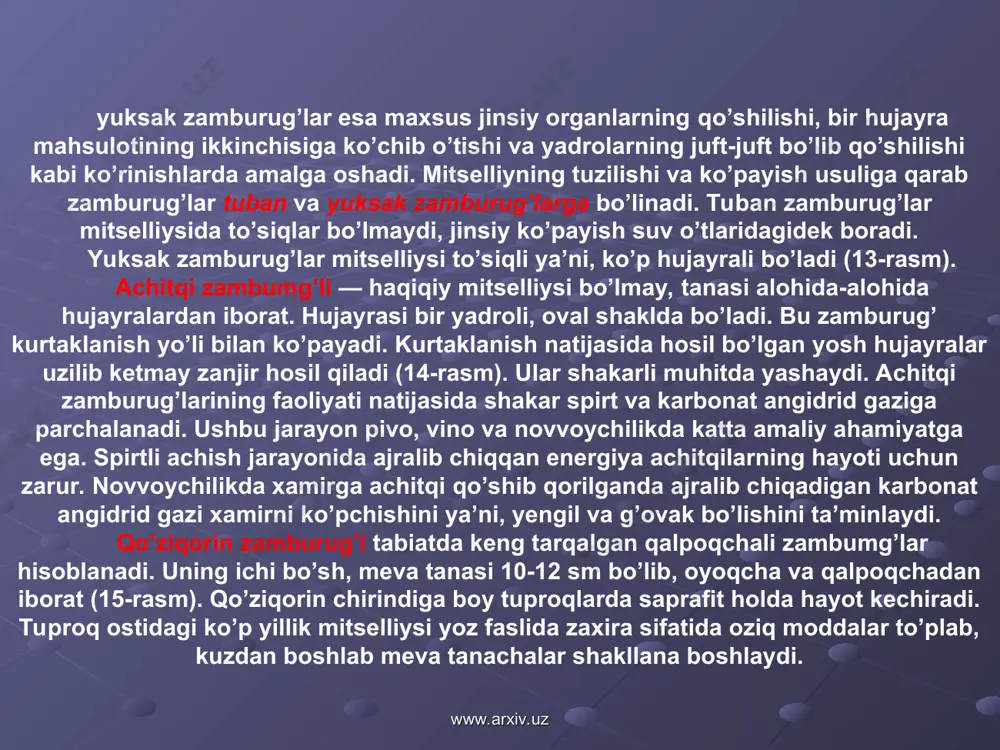 anizmlardir. vegetativ ko’payish lishaynik tallomida hosil boiadigan o’simtalar va ularning qulay sharoitga tushib rivojlanishi bilan boradi. lishayniklar tashqi ko’rinishiga ko’ra uchta turga bo’linadi (18-rasm): 1. yopishqoq; 2. bargsimon; 3. butasimon. lishayniklar barcha joylarda o’sadigan o’simliklar bo’lib, tabiatda juda keng tarqalgan. ular boshqa o’simliklar yashay olmaydigan sharoitda ham uchraydi. lishayniklar tosh va qoyalarda. cho’1 va dashtlarda, daraxt va buta po’stloqlarida o’sadi. lishayniklar tundra va o’rmon tundrada keng tarqalgan. ulardan (kladonia turkumi) shimol bug’ulari uchun oziqa sifatida foydalaniladi. unimsiz joylarda yashovchi lishayniklar boshqa o’simliklar ham jamoasini shakllanishiga imkon yaratadi. lishayniklar substratdan va atrof-muhitdan turli kimyoviy elementlarni, shu jumladan radioaktiv moddalarni ham to’plash xususiyatiga ega. toza havoni talab etuvchi lishayniklardan atmosfera havosining ifloslanganlik darajasini aniqlashda indikator sifatida foydalanish mumkin. ba’zi bir lishayniklar to’qimachilikda bo’yoq sifatida, tibbiyotda va atir-upa sanoatida ishlatiladi. shuningdek, o’rmonlarda ayniqsa, qarag’ayzorlarda va daraxt kesilgan maydonlarda lishayniklar yaxlit qoplam hosil qiladi. bunda kladoniyaning (cladonia) bir necha turlari qatnashadi. daraxt po’stlog’ida soqolli …