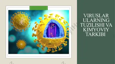 viruslar ularning tuzilishi va kimyoviy tarkibi — PPTX