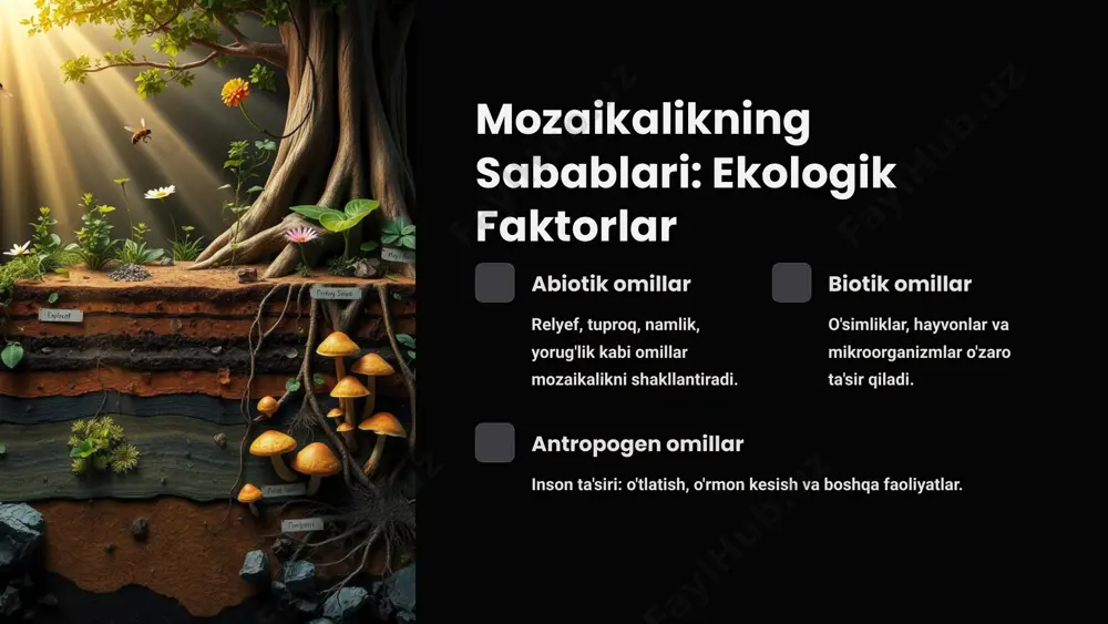 fitotsenoz mozaikaligi: kirish - Page 4