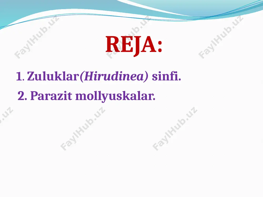 tlanganida, oldin orqa so‘rg‘ichi bilan biror narsaga yopishib olib, gavdasini oldinga cho‘zadi, shunda oldingi og‘iz so‘rg‘ichi bilan boshqa narsaga yopishib oladi. bu vaqtda orqa so‘rg‘ichi narsadan ajraladi va gavda bosh tomonga qarab tortadi. shu tariqa ular qadamlab harakat qiladi. zuluklarning haqiqiy ichki segmentlari doimiy bo‘lib, ularning soni 33 ta bo‘ladi (qildor zuluklar turkumi vakillarida segmentlar soni 30 ta). bunda gavdasining oldingi 4 ta segmenti og‘iz so‘rg‘ichini, 22 ta segmenti gavda bo‘limini, 7 ta oxirgi segmentlari qo‘shilib orqa so‘rg‘ichini hosil qlladi. laboratoriya sharoitida 1,5 yil davomida 44 sm ga yetadigan zuluk o‘stirilgan zuluklar 2-3 yilda voyaga yetadi va 15-20 yil umr ko‘radi. zuluklar sinfi 2 ta kenja sinfga bo‘linadi: 1. qadimgi zuluklar (archihirudinea) kenja sinfi; 2. haqiqiy zuluklar (euchirudinea) kenja sinfi. qadimgi zuluklar kenja sinfiga qildor zuluklar (acanthobdella) turkumi kiradi. bu turkumga faqat 2 ta tur kirib, ular losos baliqlarida parazitlik qiladi. tana uzunligi 3 sm gacha boradigan bu zuluklarda oz …