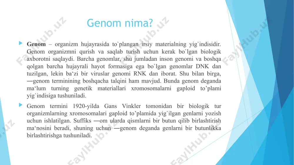 ng natijalari shunchalik aniqroq bo’ladi. qoidaga binoan, genlarning soni xromosomalarning o’lchamiga bog’liq bo’ladi. birgina, geteroxromatinning uzaygan qismlari (sentromer va telomer uchastkalardagi) deyarli genlarni saqlamaydi va shu orqali bu bog’liqlikni buzadi. xaritalashning birinchi bosqichida genning qaysi guruhga mansub ekanligini aniqlash lozim. ma’lumki, drosophila melanogaster ning diploid to’plamida to’rt juft xromosomalar bo’ladi. shulardan, birinchi jufti jinsiy xromosomalar (xx urg’ochilarida, xy erkaklarida), ikkinchi, uchinchi va to’rttinchi juft xromosomalar esa autosomalar hisoblanadi. y xromosomadagi genlarning soni juda kam bo’ladi. paydo bo’lgan mutatsiyalarning lokalizatsiyasini aniqlash uchun har bir xromosomaga mos ravishdagi gen markerlardan foydalanish kerak bo’ladi genom xaritasi. genom xaritasi bu genom tarkibidagi gen yoki boshqa komponentlarning qaysi xromosomaga tegishliligini ko’rsatuvchi sxematik tasvirlash hisoblanadi. genom xaritalarini taqdim etilayotgan axborotning hajmiga ko’ra klassifikatsiyalash mumkin bo’ladi. saqlaydigan ma’lumotning hajmiga ko’ra kichik o’lchamli xaritalar (genomning ma’lum qismiga tegishli ma’lumotlarni saqlaydi) va katta o’lchamli xaritalar (to’liq nukleotidlar ketma – ketliklari haqidagi ma’lumotlarni saqlaydi) bo’ladi. genomlarni xaritalash jarayonidagi yondashuvlarning umumiy …
