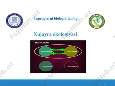 tuproqlarni biologik faolligi — PPT