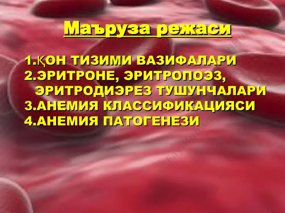 лар 2-15% 2-15% эритрон бу организмдаги барча эритроид ҳужайраларнинг ҳаёт циклининг исталган босқичида жойлашган популяция. эритроцитлар: дифференцировка ва етилиш. эритропоэз. а—в. катта ҳужайра — эритробласт; ундан кичикроқ ҳужайра — базофил и полихроматофил нормобластлар. эритробласт базофил нормобласт эритроцит ретикулоцит оксифил нормобласт полихроматофил нормобласт необходимое для кроветворных клеток микроокружение образует ретикулярная строма, в ней происходит пролиферация и дифференцировка всех ростков кроветворения. прикрепление кроветворных клеток к ретикулярной строме обеспечивается молекулами адгезии и факторами роста, связанными со стромальными клетками и с внеклеточным матриксом. томир оралиғи лимфоцит эндотелий қон яратувчи ўзак ҳужайра макрофаг фибробласт лимфопоэза прекурсор ҳужайралари миелопоэз ўзак ҳужайраси ҳужайрадан ташқари матрикс ўсиш омили адгезия молекула эритрон суяк-мия прекурсорлари: пролиферацияланувчи дифференцирланувчи етилувчи функционирланган ҳужайра (деподаги ва периферик қондаги эритроцитлар) парчаланувчи ҳужайралар эритроид қатор эритрон организмнинг етук қон ҳужайраларига бўлган эҳтиёжининг сезиларли даражада ошиши билан уларнинг сони бир неча соат ичида -10 марта ёки ундан кўпроқ кўпайтирилиши мумкин. эритрон гемопоэзнинг эрта активацияси биологик фаол моддалар …
