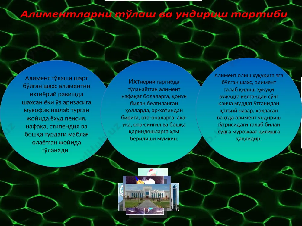 aliment majburiyatlari - Page 5