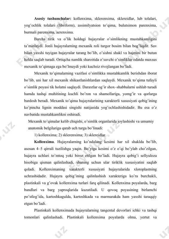 , kartoshkagulda, kartoshkada va marmarakda ham yaxshi taraqqiy etgan bo’ladi. plastinkali kollenximada hujayralarning tangental devorlari ichki va tashqi tomonlari qalinlashadi. plastinkali kollenxima poyalarda olma, yertut va qoraqatning barg bandlarida uchraydi. g’ovak kollenximada hujayra oraliqlari yaxshi rivojlangan. bunday hujayralarda faqat hujayra oraliqlari bilan chegaralangan qismlari qilanlashadi. g’ovak kollenxima oq sho’ra, rovoch va boshqa o’simliklarning poya va barg bandlarida uchraydi. kollenxima faqat mexanik vazifani bajarib qolmay, balki assimilyatsion vazifani ham bajaradi. barg plastinkasida kollenxima o’tkazuvchi boylamlarni ostki va ustki tomonlaridan o’rab turadi. shunday qilib, kollenxima birlamchi kelib chiqishga ega va yosh o’suvchi organlar uchun xarakterli mexanik to’qima hisoblanadi. sklerenxima. sklerenxima muhim mexanik to’qima hisoblanib, o’simlikning ildiz, poya kabi o’q organlari va o’tkazuvchi nay tolali boylamlar tarkibiga kiradi. ko’pchilik o’simliklarda uni birlamchi po’stloqda va peritsiklda mexanik halqa sifatida yoki mexanik to’qima boylamlari sifatida uchratish mumkin. sklerenxima hujayralari uzun prozenxima va 11-rasm. kollenximaning turli ko’rinishi. a- plastinkasimon; b- g’ovakli; v- burchakli. bir–birlari bilan juda …