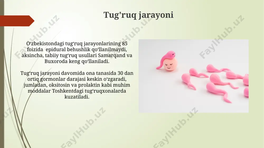 perinatal davr - Page 3