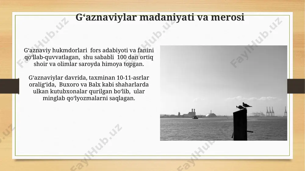 gʼaznaviylar va saljuqiylar - Page 3