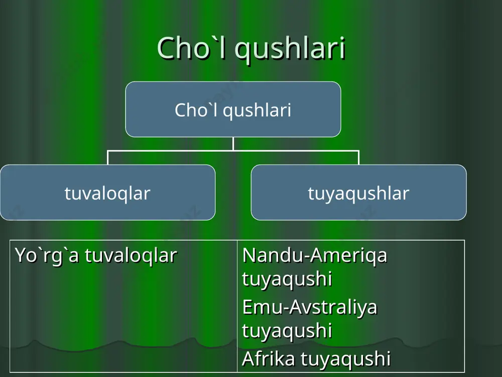 qushlarning xilma-xilligi. voha va cho`l qushlari - Page 5