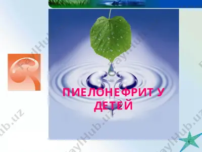 пиелонефрит у детей — PPT