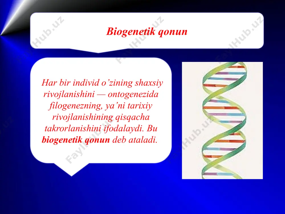evolutsiyani isbotlashda embriologiya va solishtirma anatomiya, paleontologiya fan dalillari - Page 3