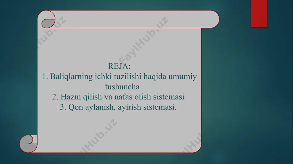 "baliqlarning ichki tuzilishi" - Page 4