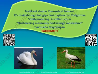 qushlar migratsiyasiga sabab bo`luvchi omillar — PPT