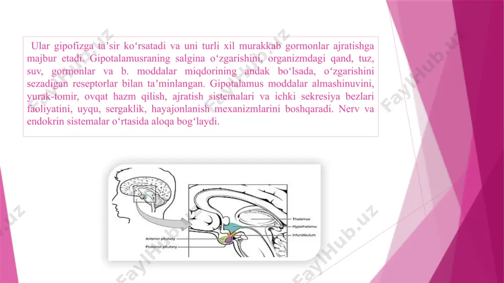 amus gormonlari bunga quyidagilar kiradi: sermorelin. tabiiy o'sish gormoni o'xshash. u asosan juda kichik bo'lgan bolalarga beriladi. homiladorlik paytida va laktatsiya davrida taqiqlangan. bromokriptin. postinaptik dopamin retseptorlarini rag'batlantirish uchun ishlatiladi. laktatsiya davrining uzilishi uchun buyuriladi. okreotid. u o'sish gormonlarini ishlab chiqarishni kamaytiradi va bezlar to'qimalarining faoliyatini to'xtatishi mumkin. ulamo va jigar zarralari uchun buyuriladi. rifatiroin. tiropropin gipotalamusi gormonining o'xshashligi. stlamin. tizimli qon bosimiga ta'sir qilmasdan ichki organlardagi qon oqimini pasaytirishi mumkin. gipotalamus gormonlarining sekretsiyasini tartibga solish asab tizimi gormonlarni ajratish tartibiga ta'sir qiladi. maqsad bezining qancha gormonlari ishlab chiqarilsa, unda tropik gormonlar salgılanır. bu munosabatlar faqat nafrat bilan harakat qilishi mumkin emas. ba'zi hollarda, gipotalamus gormonlarining hipofiz bezining hujayralariga ta'sirini o'zgartiradi. foydalanilgan manbalar, ssilkalar, sayt va tarmoqlar https://www.google.com/search?q=epifizning+ultra+strukturaviy+tashkil+etilishi+va+funksiyalari+gipotalamus+neyroslekretsiyasining+strukturaviy+asoslari&oq=&gs_lcrp=egzjahjvbwuqcqgaecmyjxjqajijcaaqixgngoocmgkiarajgccy6giycqgcecmyjxjqajijcamqixgngoocmgkibbajgccy6giycqgfecmyjxjqajijcayqixgngoocmgkibxajgccy6glsaqwxmjg1mti5mgowajeoagiwage&sourceid=chrome&ie=utf-8 https://uz.wikipedia.org/wiki/epifiz oʻzbekiston milliy ensiklopediyasi (2000-2005) maʼlumotlaridan foydalanilgan. oʻzme. birinchi jild. toshkent, 2000-yil image1.png image2.png image3.png image4.png image5.png image6.png image7.png image8.png /docprops/thumbnail.jpeg