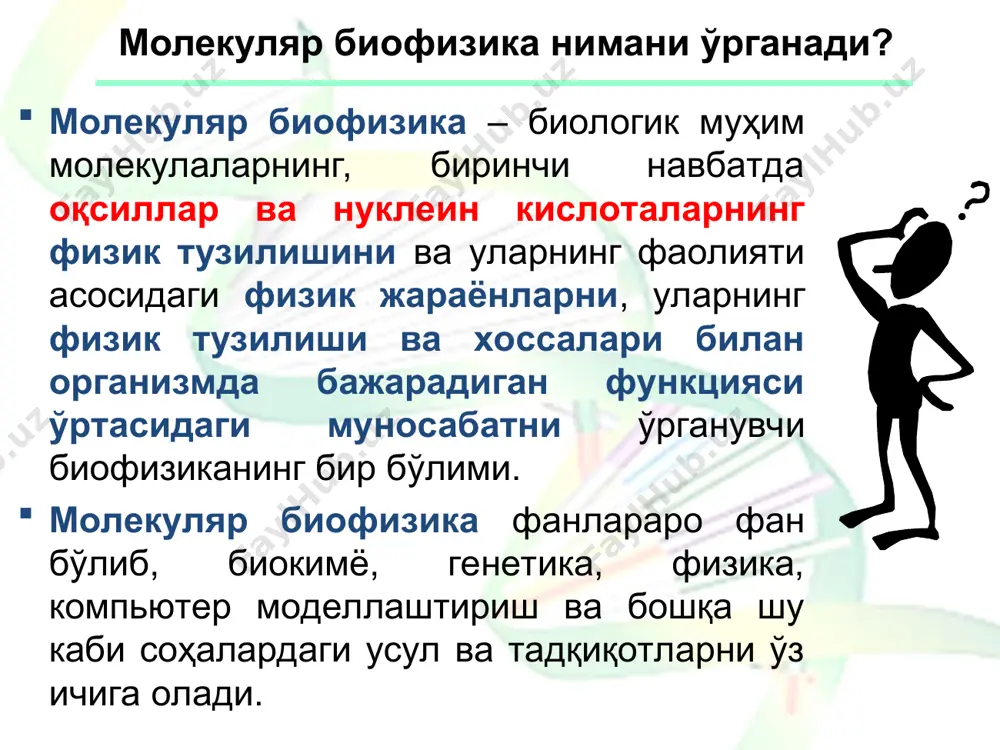 ди: * молекула тузилиши ва унинг биологик фукцияси ўртасидаги боғлиқлик қандай? молекуланинг маълум функциясини амалга ошириш учун молекула тузилишининг қандай хусусиятлари талаб қилинади? биологик молекулаларнинг ишлаши давомида қандай таркибий ўзгаришлар юз беради? макромолекулаларнинг ҳужайралардаги функционал хилма-хиллиги асосан уларнинг фазовий структураси билан белгиланади. бу борада молекуляр биофизикада энг қийин масала стабиллашган молекуланинг физик асосларини аниқлашдир. стабилланиш натижасида макромолекулалар энг ихчам фазовий тузилишга эга бўлиб, нозик ташкилий тузилиши ва катта спецификлиги билан ажралиб туради. молекуланинг биологик фаоллиги унинг фазовий структураси ўзгаришига нисбатан жуда сезгирдир. * биомакромолекулалар тузилишининг структура асослари биополимерлар занжир шаклидаги тирик ва эгилувчан молекулалардан иборат юқори молекуляр бирикмалардир занжир шаклидаги тузилиш: чизиқли (оқсиллар, нуклеин кислоталар, каучук, целлюлоза); шохланган занжир (гликоген, аминопектин) фазовий тўр (баъзи бир оқсиллар) шаклида бўлиши мумкин. полимерларга стереоспецификлик (хираллик) характерли бўлиб, молекуланинг стереоспецификлиги икки тур стереоизомерлар: ўнг-d ва чап l-форма ҳолатида учрайди. нуклеин кислоталар таркибига қандларнинг d-қатор, оқсиллар таркибига эса, аминокислоталарнинг l-қатор вакиллари киради. молекуланинг хиралиги қутбланган …