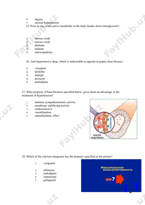 test questions - Page 5