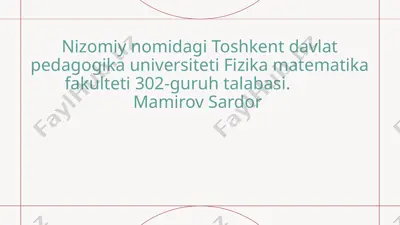 ixtisoslashgan tizimlar — PPTX