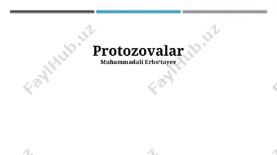 protozovalar — PPTX