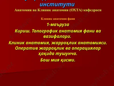 klinik anatomiya fanining topografiyasi — PPT