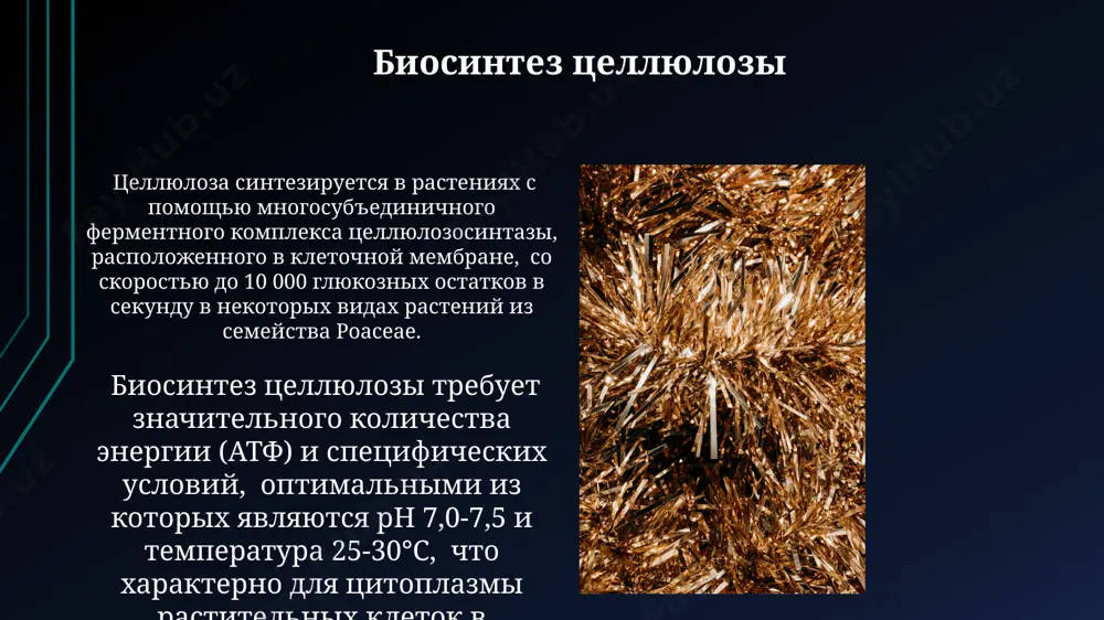 целлюлоза - Page 3