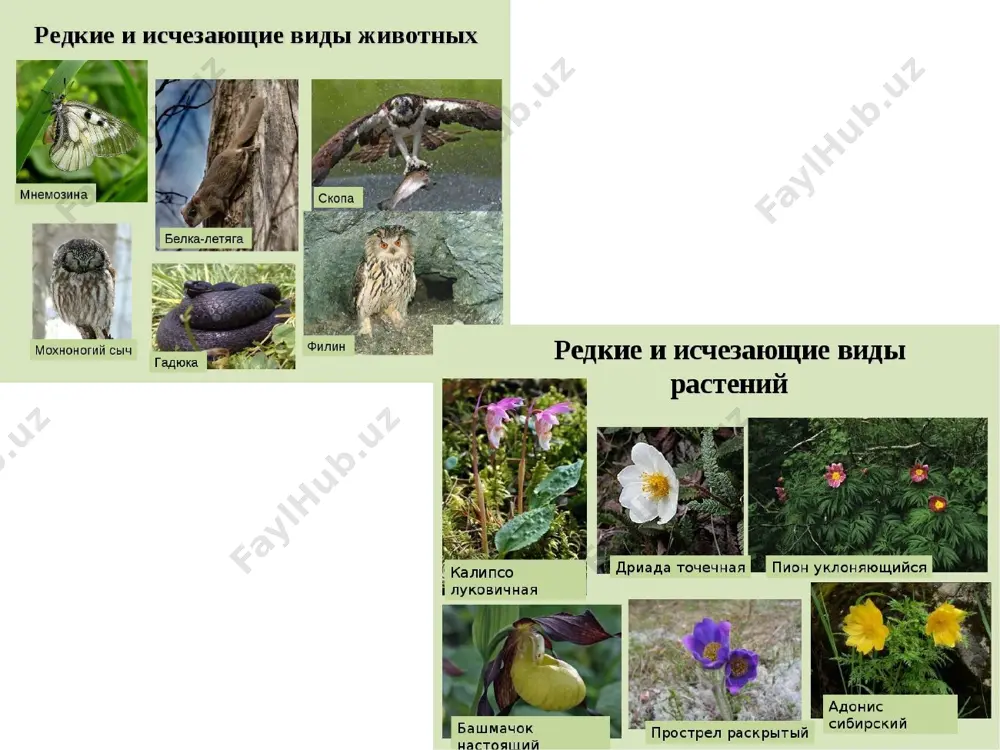 krasnaya kniga. pryamaya i kosvennaya rech. - Page 3