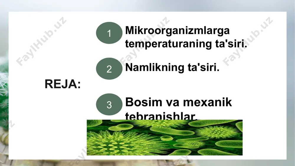 i hamma joyda tarqalgan bakteriyalardir uchinchi guruh mikroorganizmlari esa termofillar (termos-issiq).bu guruhga mansub bakteriyalarga aktinomitsetlar baʼzi bir ko'k yashil suv o'tlari misol boladi. termofil bakteriyalar yuqori temperaturada rivojlanadi. namlikning ta'siri!!! mikrob hujayrasining 85 foizi suvdan iborat va uning barcha hayot faoliyati ham muhitda nam bo'lishiga bog'liq. koʻp oziq moddalar avval suvda erimasdan hujayra ichiga kira olmaydi va natijada hujayra yashay olmaydi.namning bo'lishi mikroblarning o'sish stadiyasidagi vegetativ hujayralariga ayniqsa katta taʼsir qiladi. mikroblarning baʼzilari nam yetishmasligiga yomon chidaydi , boshqalari esa aksincha ancha chidamli bo'lib, qurigan holatda ham uzoq vaqtgacha saqlanishi mumkin. nihoyat, uchinchi xil mikroblar qurigan holda hayotchanligini hatto 10 yilgacha saqlashi mumkin. bakteriyalar va turli xil zamburugʻlarning sporalari yanada chidamli boʻladi. biroq turli mikroorganizmlarning vegetativ hujayralari quruqlikka qanchalik chidamli bo'lmasin, qurigan holda ular faoliyatsizdir, namlikning boʻlmasligi ularning oziqlanishiga toʻsqinlik qiladi, shunday ekan, ular oʻsmaydi va rivojlanmaydi.bunday holatda ular faqat sezilarlidi hayot faoliyatisiz saqlanadi.shuning uchun tuproqda,undagi namning miqdoriga qarab,turli xil …