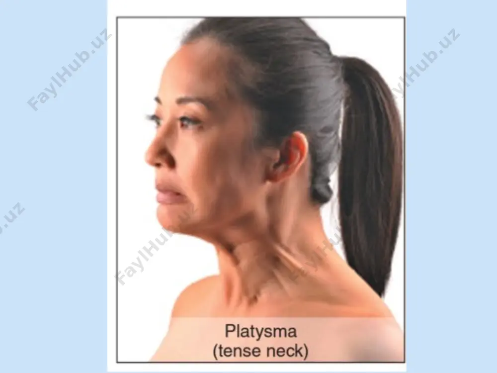anatomik rejayizlar - Page 2