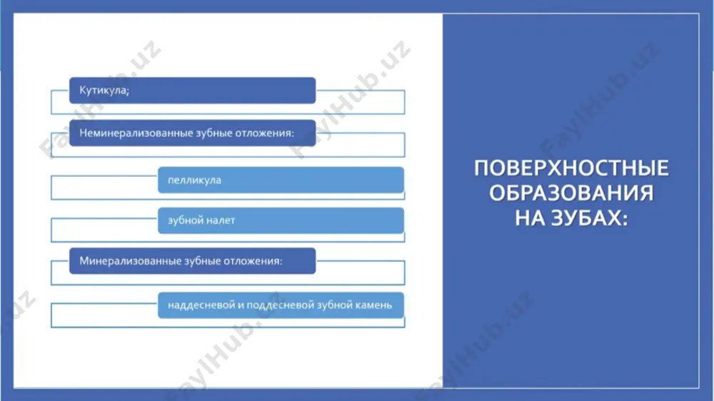 % анорганик, 10-30% ини органик моддалар ташкил қилади. анорганик қисмининг асосини-кальций фосфат - 75.9%, кальций карбонат - 3.1% ва магний карбонатлар ҳосил қилади. анорганик элементлар ўз миқдори бўйича қуйидагича тақсимланган: кальций - 39%, фосфор-19%, магний – 0,8%. булардан ташқари тиш тошлари ўз таркбида натрий, рух, стронций, бром, мис, вольфрам, алюминий, олтин каби микроэлеметлар сақлайди милк усти тошлари. enter title the user can perform the presentation on a projector or computer the user can perform the presentation on a projector or computercomputer the user can perform the presentation on a projector or computercomputer the user can perform the presentation on a projector or computer enter title enter subtitle the user can perform the presentation on a projector or computer enter subtitle the user can perform the presentation on a projector or computer the user can perform the presentation on a projector or computer милк ости тошлари милк ости тиш тошлари милк …
