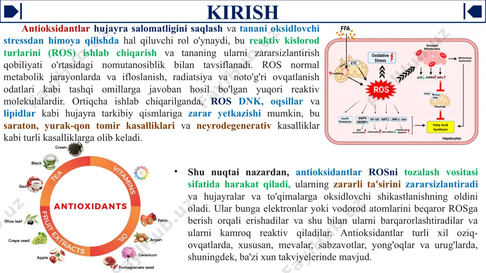 (oksidlanishning uziluvchi zanjiri) va ikkilamchi (yangi zanjirlar initsiatsiyasining oldini oluvchi) turlarga bo'linadi. antioksidant ta'sir mexanizmi erkin radikallarni chetlashtirish, gidroper- oksidlarni buzish, o'zgaruvchan valentlikka esa metall ionlarini bog'lab olishdan iborat. qoidaga ko'ra, amalda bir necha ta'sir mexanizmlarining birga kelishi o'z o'rniga ega boʻlib, antioksidant samarasi shular bilan bog'liqdir. oʻzaro sinonim bo'lmagan antiradikal va antioksidant faoliklarni ajratish qabul qilingan. individual antioksidantning antiradikal faolligi (antiperoksidal faollik) har bir antioksidant uchun doimiy bo'lgan xususiyat bo'lib, uning radikallarida biror bir qo'shimcha reaksiya bo'lmasa, peroksil radikallari bilan kechadigan reaksiyaning tezlik konstantasi k7 bilan tavsiflanadi. peroksil radikallari miqdori lipidlarning erkin-radikal reaksiyalari tezligini belgilaydi. bundan tashqari, peroksil radikallari bilan antioksidant fermentlari reaksiyaga kirishmaydi, ularni faqat oksidlanishning erkin radikal jarayonlari ingibitorlari faolsizlantirishi mumkin. antioksidantlar haqida umumiy ma’lumot organizmning antioksidant tizimi shikastlanishlarni bartaraf etadi va ularni tarqalishini nazorat qiladi, (aot) oksidlanishli shikastlangan molekulalarning reparatsiyasi, chiqarib yuborish ularning o'rnini boshqa molekulalar bilan almashtirish mexanizmlarni o'z ichiga oladi. antioksidant tizimi fermentativ (superoksiddismutaza, …