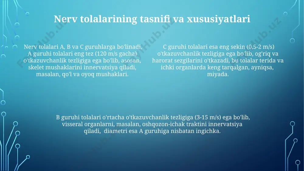 nerv sistemasining oʻtkazuvchanligi - Page 4