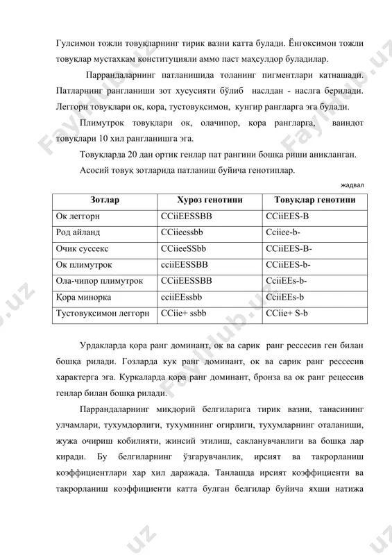 кроссларни яхшилаш ва янги линия кроссларини яратиш, паррандаларнинг генетик захирасини саклаш ва яратиш, паррандачилик наслчилик заводларидаги наслчилик ишига услубий рахбарлик килиш. 2- боскич паррандачилик буйича давлат наслчилик заводлари. улар тухум ва гўшт йуналишидаги кросслар ва линияларни саклаш, яхшилаш бошлангич линияларни кўпайтириш, наслчилик хужалик репродукторларни инкубацион тухум билан таминлаш, бу хужаликларга услубий рахбарлик килиш. 3- боскич, 1 ва 2 тартибли наслчилик репродуктор хужаликлари. 1 тартибли репродуктор хужаликлар кроссларнинг оталик ва оналик формаларини урчитадилар. бу линияларнинг тухумларини давлат наслчилик заводларидан оладилар. инкубацион тухумлар ёки ота - она линияларининг жужаларини 2- тартибда репродуктор хужаликларига етказиб берадилар. 2- тартибли репродукторлар саноат паррандачилик фабрикаларига ёки товар фермаларига гибрид жужалар ёки инкубацион тухумлар етказиб беради. наслчилик заводида товуқлар селекцион галаси урчитилади. насл ядросига 8-10 %, синов гурухига 27-33 %, кўпайтириш гурухига 56-64 % товуқлар ажратилади. товуқларнинг келиб чиқиши, маҳсулдорлиги, экстеръери, болаларининг сифати ва ён қариндошлари буйича танланади. ёш товуқлар ва товуқларнинг келиб чиқиши, маҳсулдорлдиги, экстереъри ва …