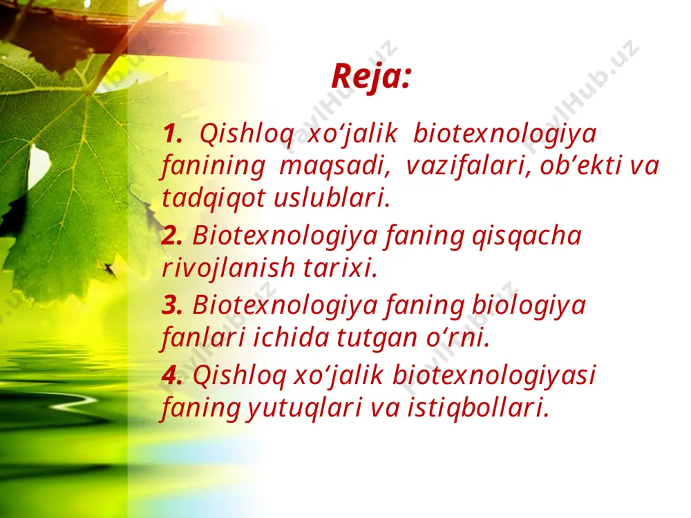 q. o‘tgan asrning 40 yillarida mikroorganizmlardan pensilin olish texnologiyasining yaratilishi bu fan rivojiga ijobiy burilish yasadi. biotexnologiyaning rivojlanishi immobillashgan (maxsus sorbentlarga bog‘langan) fermentlar va mikroorganizmlar tayyorlash texnologiyalarini yaratilishi bilan uzviy bog‘liq bo‘ldi. immobilizatsiya qilingan fermentlarni har xil jarayonlarda ishlatilishi (fermentlar muhandisligi) bu biokatalizatorlardan foydalanishni yanada faollashtirib yubordi. o‘zbekistonda biotexnologiyaning rivojlanish tarixi. biotexnologiya o‘zbekistonda eng kenja fanlardan bo‘lib, uning tarixi uzoqqa bormaydi (qadimiy biotexnologlar: non yopish, qattiq tayyorlash va h.k. bundan istisno). o‘zbekistonda uchraydigan achitqi zamburug‘larini tahlil qilib, ularni nonvoychilik, vinochilik va chorva- chilikka qo‘l keladigan turlarini topdi va ular asosida maxsus hamirtu- rushlar va vinochilik uchun achitqi tayyorlash texnologiyalarini yaratdi. keyingi vaqtda biotexnologiyaning rivojlanishi immobillashgan (maxsus sorbentlarga bog‘langan) fermentlar va mikroorganizmlar tayyorlash texnologiyalarini yaratilishi bilan uzviy bog‘liq bo‘ldi. immobilizatsiya qilingan fermentlarni har xil jarayonlarda ishlatilishi (fermentlar muhandisligi) bu biokatalizatorlardan foydalanishni yanada faollashtirib yubordi. adabiyotlar: butenko r.g. kul’tura pleton rasteniy i biotexnologiya. m. nauka, 1986 kalinin f.l. i drugie. texnologiya mikroklopal’nogo …