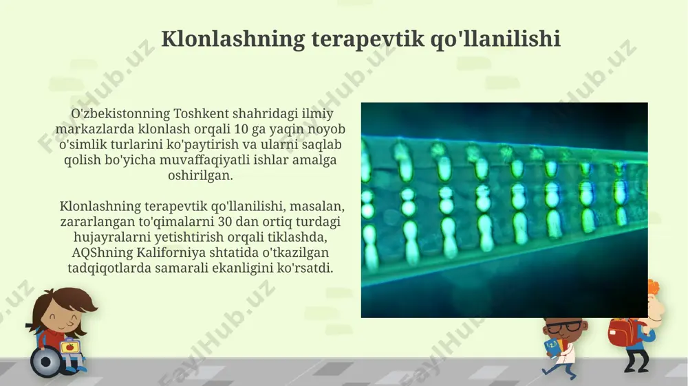 klon, klonlashtirish va uning klinik ahamiyati - Page 4