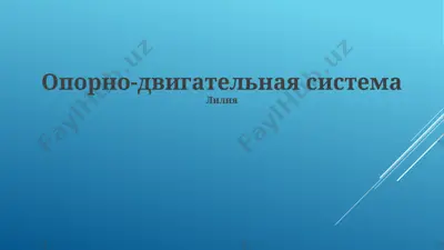 опорно-двигательная система — PPTX