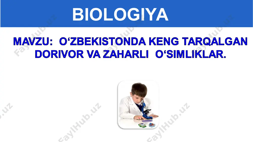 tadi. yozning issiq kunlarida bangidevona o‘zidan o‘tkir hid ajratadi. uning hididan ham zaharlanish mumkin. bangidevona zaharlanish belgilari: og‘iz qurishi, yurak urishining tezlashishi, qo‘i va oyoq harakatining qiyinlashishi, mo‘ljal olish qobiliyatining susayishi kuzatiladi. ayrim hollarda odam birdan kulib, birdan yig‘lashi mumkin. mingdevona mingdevona o‘simligining yirik guli oqish sariq rangda, bargi oddiy, mevasi tikanli. o‘simlikning hamma qismlari zaharli. iste’moi qilgandan so‘ng 10-2o daqiqa o‘tib, o‘simiikdan zaharlanish belgilari yuzaga chiqadi. mingdevona bunda og‘iz qurishi, ko‘z qorachig‘ining kengayishi, ovoz bo‘g‘iiishi, yuzning qizarishi va yurak ishining susayishi kuzatiladi. birozdan so‘ng harorat ko‘tariiadi, titroq, hushdan ketish holatlari vujudga keladi. birinchi yordam berish uchun bemorga ko‘p suyuqlik ichirib, qustirish kerak. zaharli ayiqtovon zaharli ayiqtovon uzunligi 10 - 45 cm keladigan o‘t o‘simiik. gullari yumaloq sariq rangda, bargi zaharli. agar ayiqtovon o‘simiigining bargiga tegib ketsangiz, undan ajralgan suyuqlik ko‘zning yoshlanishiga, og‘iz va tomoqning qurishiga sababchi bo‘iadi. zaharli ayiqtovon bargdan ajralgan suyuqlik ko‘zga tushsa, odamning vaqtinchalik ko‘rish qobiliyatining pasayishiga …
