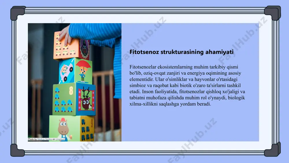 fitotsenoz sutrukturasi - Page 4